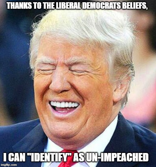 Impeachment | THANKS TO THE LIBERAL DEMOCRATS BELIEFS, I CAN "IDENTIFY" AS UN-IMPEACHED | image tagged in donald trump,democrats,nancy pelosi,impeachment,politics,funny | made w/ Imgflip meme maker