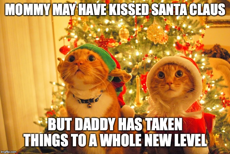 christmas cats | MOMMY MAY HAVE KISSED SANTA CLAUS; BUT DADDY HAS TAKEN THINGS TO A WHOLE NEW LEVEL | image tagged in christmas | made w/ Imgflip meme maker
