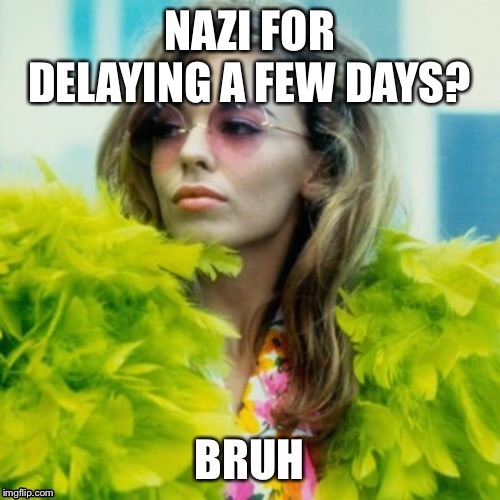 More Pelosi is a Nazi. | NAZI FOR DELAYING A FEW DAYS? | image tagged in kylie bruh,nancy pelosi,impeach trump,trump impeachment,impeachment,right wing | made w/ Imgflip meme maker