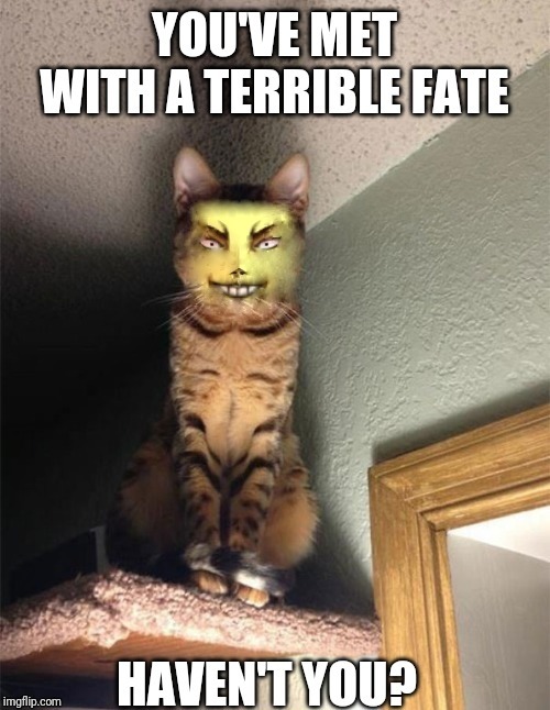 The happy mask salescat | image tagged in cats,majora's mask | made w/ Imgflip meme maker