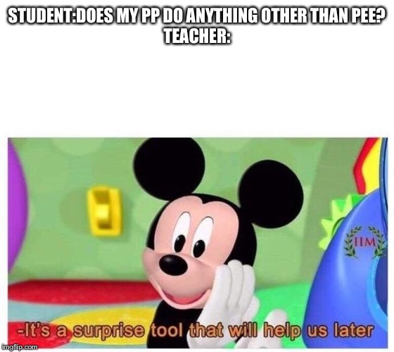 It's a surprise tool that will help us later | STUDENT:DOES MY PP DO ANYTHING OTHER THAN PEE?
TEACHER: | image tagged in it's a surprise tool that will help us later | made w/ Imgflip meme maker