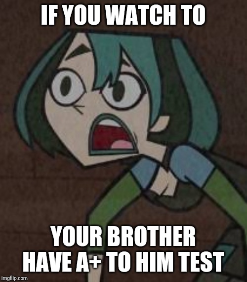Total drama island guen | IF YOU WATCH TO; YOUR BROTHER HAVE A+ TO HIM TEST | image tagged in funny memes,total drama | made w/ Imgflip meme maker