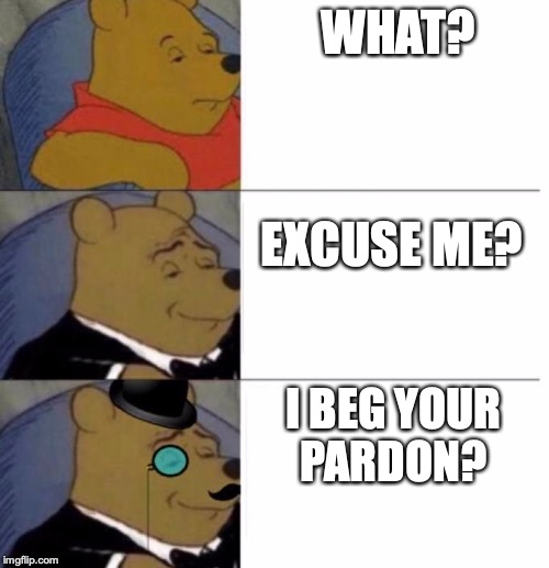 Tuxedo Winnie the Pooh (3 panel) | WHAT? EXCUSE ME? I BEG YOUR 
PARDON? | image tagged in tuxedo winnie the pooh 3 panel | made w/ Imgflip meme maker