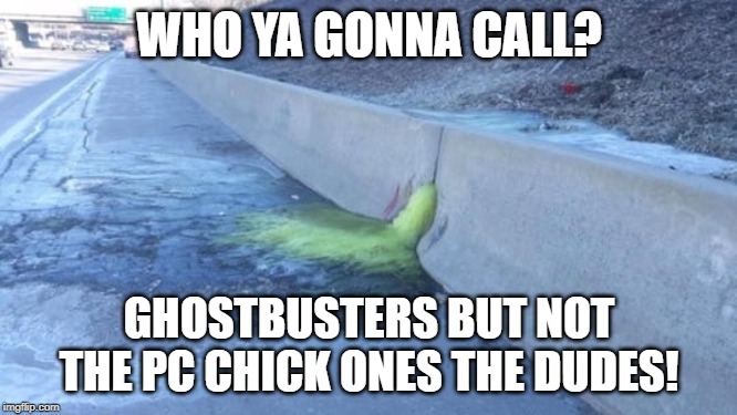 You better call the REAL Ghostbusters | WHO YA GONNA CALL? GHOSTBUSTERS BUT NOT THE PC CHICK ONES THE DUDES! | image tagged in ghostbusters | made w/ Imgflip meme maker