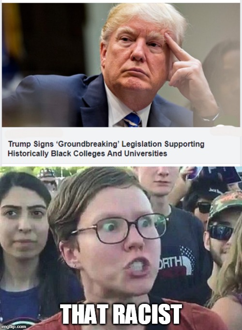 racist | THAT RACIST | image tagged in triggered liberal,racist | made w/ Imgflip meme maker