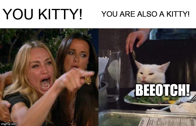 Woman Yelling At Cat Meme | YOU KITTY! YOU ARE ALSO A KITTY! BEEOTCH! | image tagged in memes,woman yelling at cat | made w/ Imgflip meme maker