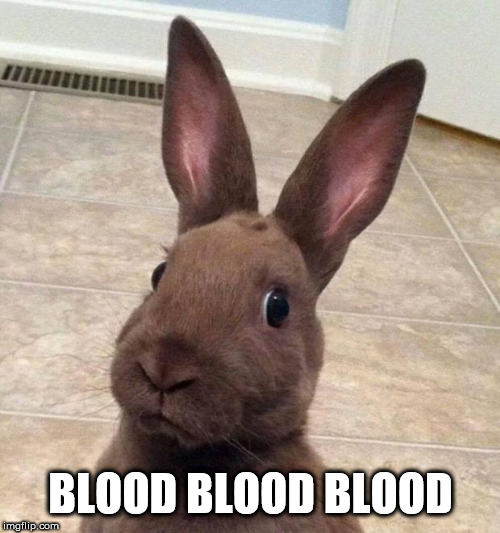 Really? Rabbit | BLOOD BLOOD BLOOD | image tagged in really rabbit | made w/ Imgflip meme maker
