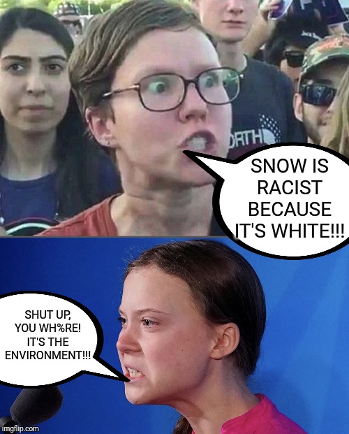 SNOW IS RACIST BECAUSE IT'S WHITE!!! SHUT UP, YOU WH%RE! IT'S THE ENVIRONMENT!!! | image tagged in triggered liberal,gretta | made w/ Imgflip meme maker