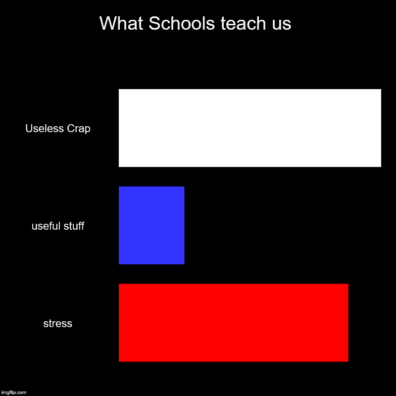 What Schools teach us | What Schools teach us | Useless Crap, useful stuff, stress | image tagged in charts,bar charts,useless stuff,stress,school | made w/ Imgflip chart maker