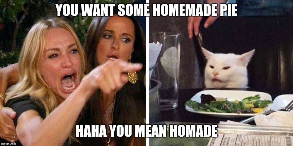 Smudge the cat | YOU WANT SOME HOMEMADE PIE; HAHA YOU MEAN HOMADE | image tagged in smudge the cat | made w/ Imgflip meme maker