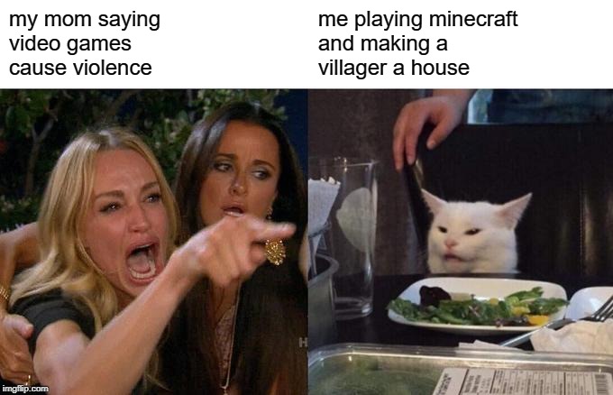 Woman Yelling At Cat | my mom saying
video games 
cause violence; me playing minecraft
and making a 
villager a house | image tagged in memes,woman yelling at cat | made w/ Imgflip meme maker