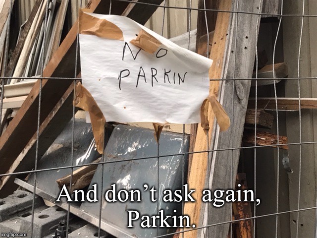 No parkin | And don’t ask again,
 Parkin. | image tagged in signs,mistakes,spelling error | made w/ Imgflip meme maker