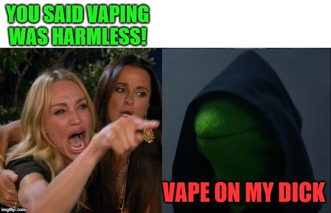 Vapaholic | YOU SAID VAPING WAS HARMLESS! VAPE ON MY DICK | image tagged in funny memes,vaping,evil kermit,woman yelling at cat | made w/ Imgflip meme maker