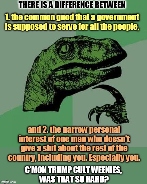 Trump doesn't understand #1 and applies #2 to everything. That's how he got in trouble. Can you tell the difference? | THERE IS A DIFFERENCE BETWEEN; 1. the common good that a government is supposed to serve for all the people, and 2. the narrow personal interest of one man who doesn't give a shit about the rest of the country, including you. Especially you. C'MON TRUMP CULT WEENIES, 
WAS THAT SO HARD? | image tagged in memes,philosoraptor,trump,common good,selfishness | made w/ Imgflip meme maker