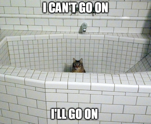 I CAN'T GO ON; I'LL GO ON | image tagged in empty bath cat | made w/ Imgflip meme maker