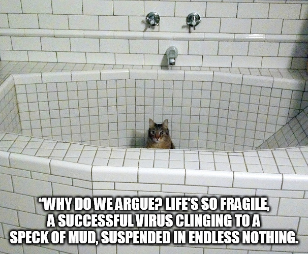“WHY DO WE ARGUE? LIFE'S SO FRAGILE, A SUCCESSFUL VIRUS CLINGING TO A SPECK OF MUD, SUSPENDED IN ENDLESS NOTHING. | image tagged in empty bath cat | made w/ Imgflip meme maker