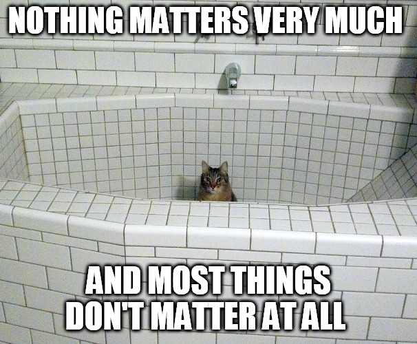 Nihilist Empty Bath Cat | NOTHING MATTERS VERY MUCH; AND MOST THINGS DON'T MATTER AT ALL | image tagged in nihilist empty bath cat | made w/ Imgflip meme maker