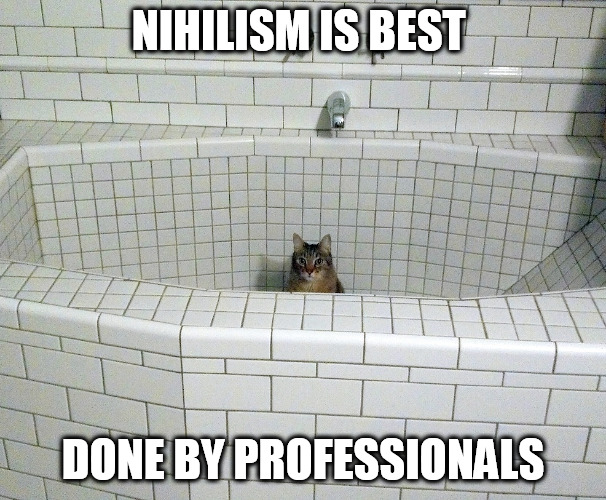 Nihilist Empty Bath Cat | NIHILISM IS BEST; DONE BY PROFESSIONALS | image tagged in nihilist empty bath cat | made w/ Imgflip meme maker