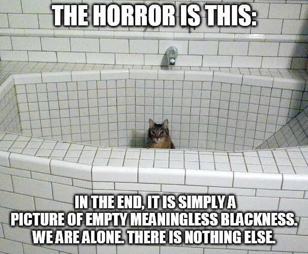 Nihilist Empty Bath Cat | THE HORROR IS THIS:; IN THE END, IT IS SIMPLY A PICTURE OF EMPTY MEANINGLESS BLACKNESS. WE ARE ALONE. THERE IS NOTHING ELSE. | image tagged in nihilist empty bath cat | made w/ Imgflip meme maker