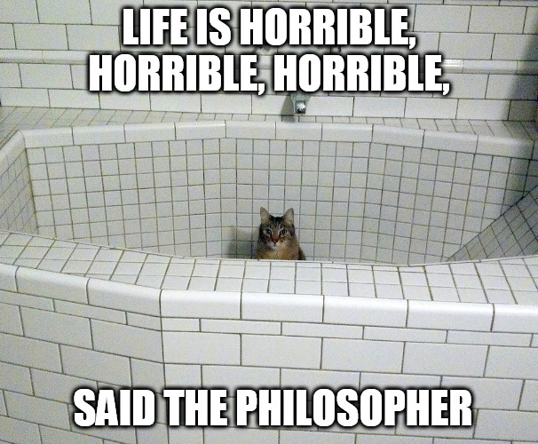 Nihilist Empty Bath Cat | LIFE IS HORRIBLE, HORRIBLE, HORRIBLE, SAID THE PHILOSOPHER | image tagged in nihilist empty bath cat | made w/ Imgflip meme maker