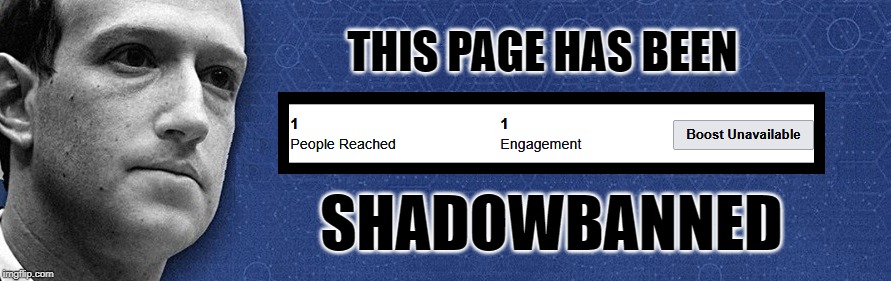 SHADOWBANNED | THIS PAGE HAS BEEN; SHADOWBANNED | image tagged in facebook,facebook problems,banned,corruption,programming,mark zuckerberg | made w/ Imgflip meme maker