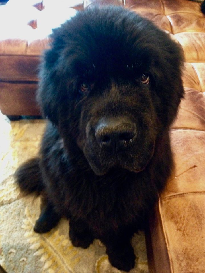 Merry Merry!??? Blank Meme Template