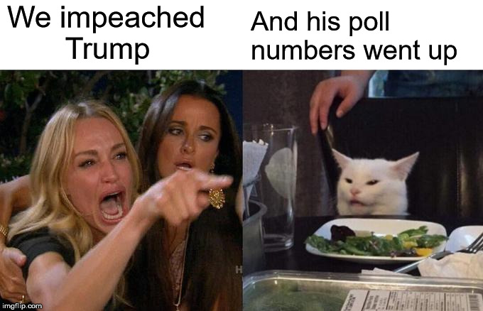 They never learn | We impeached        Trump; And his poll numbers went up | image tagged in memes,woman yelling at cat,trump impeachment | made w/ Imgflip meme maker