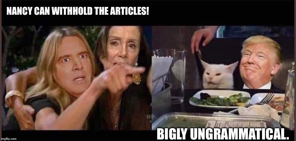 Schiff and Pelosi Being Far-left Progressive | NANCY CAN WITHHOLD THE ARTICLES! BIGLY UNGRAMMATICAL. | image tagged in schiff pelosi trump cat,schiff and pelosi yelling at smudge the cat and trump | made w/ Imgflip meme maker