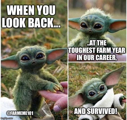 Tough Baby Yoda | WHEN YOU LOOK BACK... ..AT THE TOUGHEST FARM YEAR IN OUR CAREER, AND SURVIVED! @FARMEME101 | image tagged in baby yoda model,farmer,resilient,farmeme,lol,inspirational | made w/ Imgflip meme maker