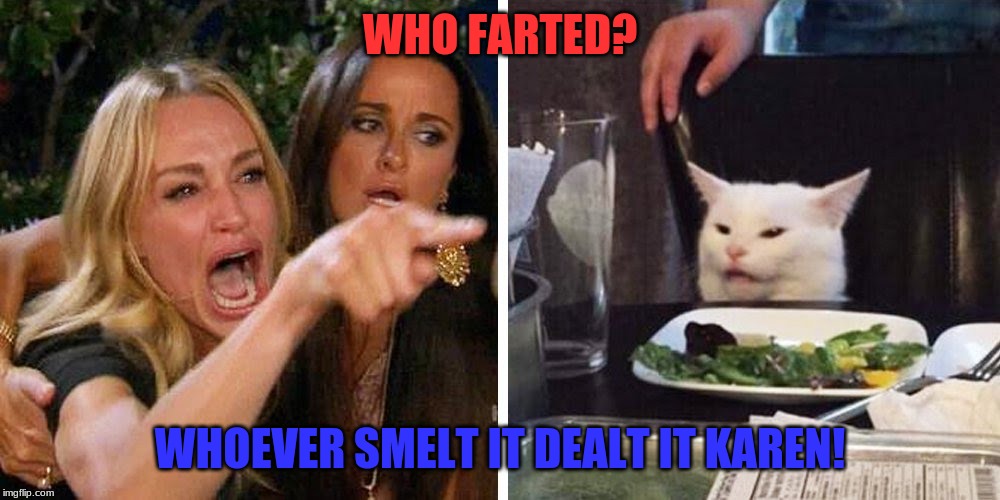 Smudge the cat | WHO FARTED? WHOEVER SMELT IT DEALT IT KAREN! | image tagged in smudge the cat | made w/ Imgflip meme maker
