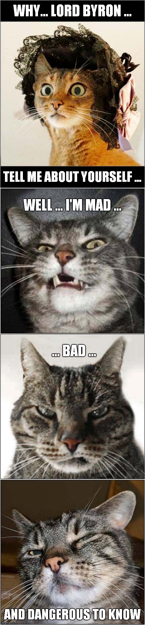 Mad, Bad and Dangerous Cat | WHY... LORD BYRON ... TELL ME ABOUT YOURSELF ... WELL ... I'M MAD ... ... BAD ... AND DANGEROUS TO KNOW | image tagged in fun,cats,lady caroline lamb,lord byron,1812 | made w/ Imgflip meme maker