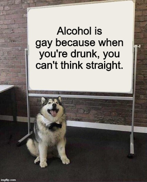 Professor Doggo | Alcohol is gay because when you're drunk, you can't think straight. | image tagged in professor doggo | made w/ Imgflip meme maker