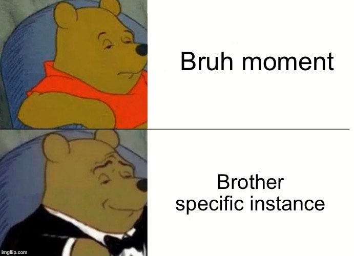 Fancy Winnie The Pooh Meme | Bruh moment; Brother specific instance | image tagged in fancy winnie the pooh meme | made w/ Imgflip meme maker