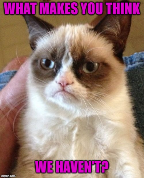 Grumpy Cat Meme | WHAT MAKES YOU THINK WE HAVEN'T? | image tagged in memes,grumpy cat | made w/ Imgflip meme maker