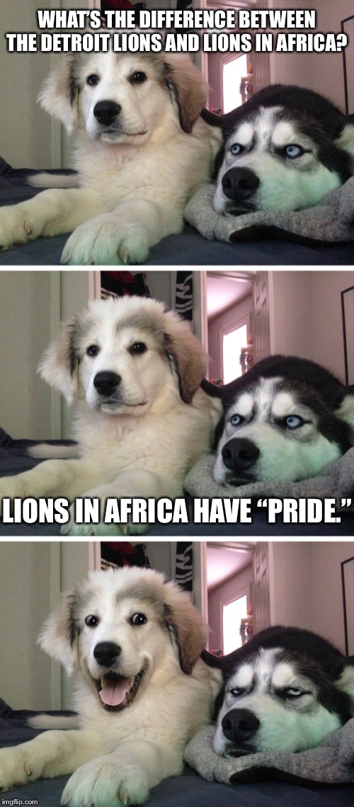 Lions Lions Lions. What is wrong with you? | WHAT’S THE DIFFERENCE BETWEEN THE DETROIT LIONS AND LIONS IN AFRICA? LIONS IN AFRICA HAVE “PRIDE.” | image tagged in bad pun dogs,memes,detroit lions,africa,nfl football,lose | made w/ Imgflip meme maker