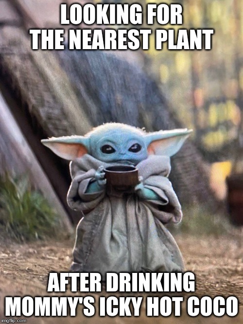 BABY YODA TEA | LOOKING FOR THE NEAREST PLANT; AFTER DRINKING MOMMY'S ICKY HOT COCO | image tagged in baby yoda tea | made w/ Imgflip meme maker