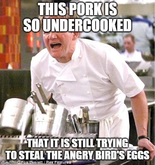 Chef Gordon Ramsay Meme | THIS PORK IS SO UNDERCOOKED; THAT IT IS STILL TRYING TO STEAL THE ANGRY BIRD'S EGGS | image tagged in memes,chef gordon ramsay,funny,angry birds | made w/ Imgflip meme maker