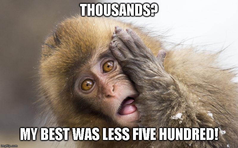 Huh? | THOUSANDS? MY BEST WAS LESS FIVE HUNDRED! | image tagged in huh | made w/ Imgflip meme maker