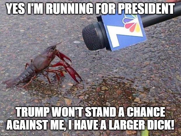 Crawfish Interview | YES I'M RUNNING FOR PRESIDENT; TRUMP WON'T STAND A CHANCE AGAINST ME, I HAVE A LARGER DICK! | image tagged in crawfish interview | made w/ Imgflip meme maker