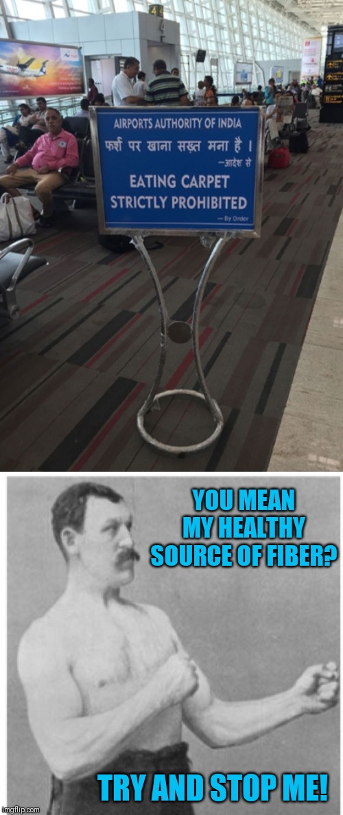Hold up... |  YOU MEAN MY HEALTHY SOURCE OF FIBER? TRY AND STOP ME! | image tagged in memes,overly manly man,fallout hold up,44colt,airport,fiber | made w/ Imgflip meme maker