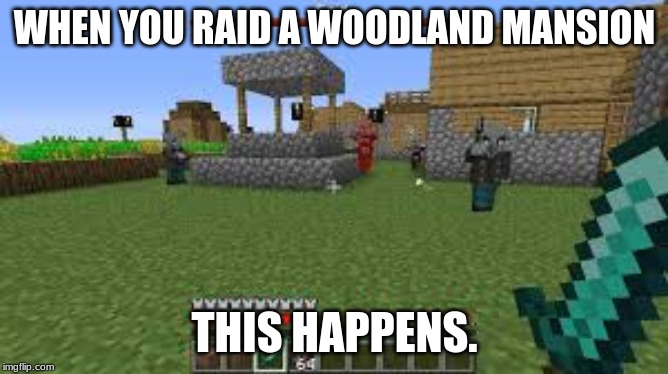 Minecraft Raid | WHEN YOU RAID A WOODLAND MANSION; THIS HAPPENS. | image tagged in minecraft raid | made w/ Imgflip meme maker