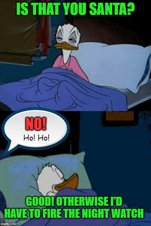 Easily fooled | IS THAT YOU SANTA? NO! Ho! Ho! GOOD! OTHERWISE I'D HAVE TO FIRE THE NIGHT WATCH | image tagged in sleepy donald duck in bed,memes,santa,no ho ho | made w/ Imgflip meme maker