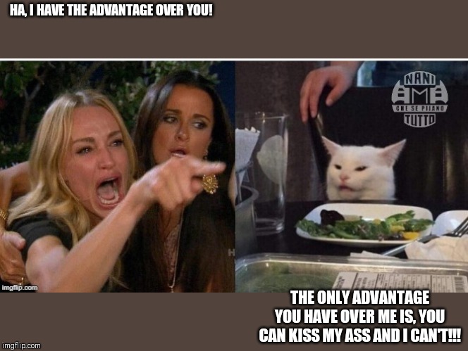 white cat table | HA, I HAVE THE ADVANTAGE OVER YOU! THE ONLY ADVANTAGE YOU HAVE OVER ME IS, YOU CAN KISS MY ASS AND I CAN'T!!! | image tagged in white cat table | made w/ Imgflip meme maker