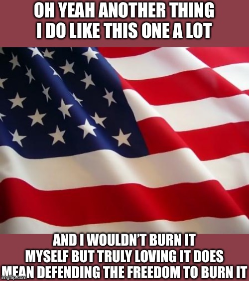 If you love America, then you defend the freedom to burn this. | OH YEAH ANOTHER THING I DO LIKE THIS ONE A LOT; AND I WOULDN’T BURN IT MYSELF BUT TRULY LOVING IT DOES MEAN DEFENDING THE FREEDOM TO BURN IT | image tagged in american flag,flag burning,free speech,freedom,politics,hate speech | made w/ Imgflip meme maker