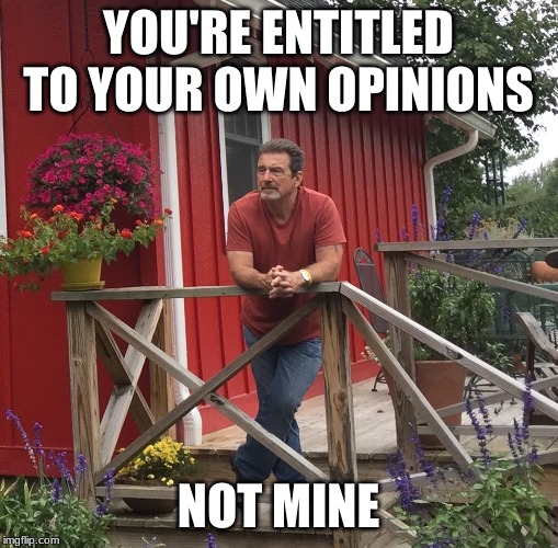 Pondering |  YOU'RE ENTITLED TO YOUR OWN OPINIONS; NOT MINE | image tagged in pondering | made w/ Imgflip meme maker