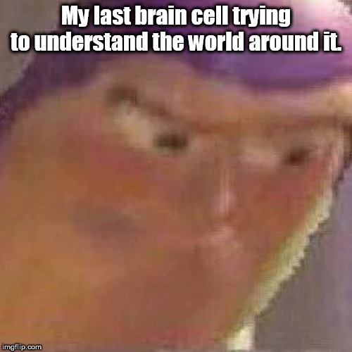 buzz lightyear hmm without hmm | My last brain cell trying to understand the world around it. | image tagged in buzz lightyear hmm,brain cell meme | made w/ Imgflip meme maker