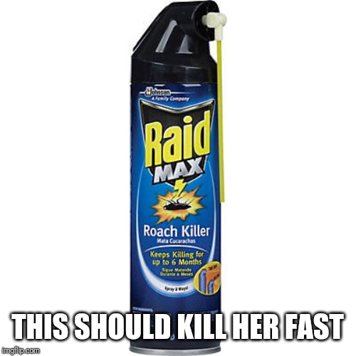 Raid Max Roach Killer | THIS SHOULD KILL HER FAST | image tagged in raid max roach killer | made w/ Imgflip meme maker