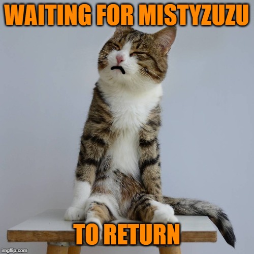 WAITING FOR MISTYZUZU TO RETURN | made w/ Imgflip meme maker