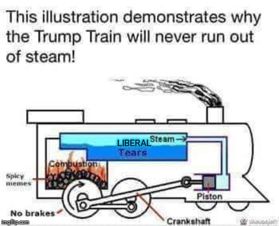 Trump Train | LIBERAL | image tagged in trump train | made w/ Imgflip meme maker
