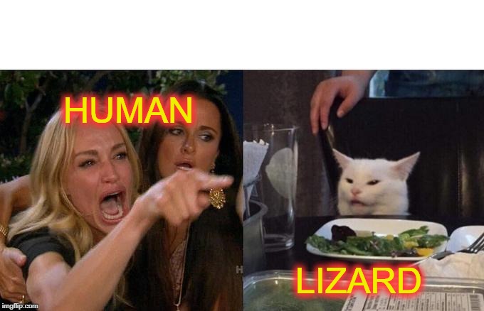 Woman Yelling At Cat Meme | HUMAN LIZARD | image tagged in memes,woman yelling at cat | made w/ Imgflip meme maker